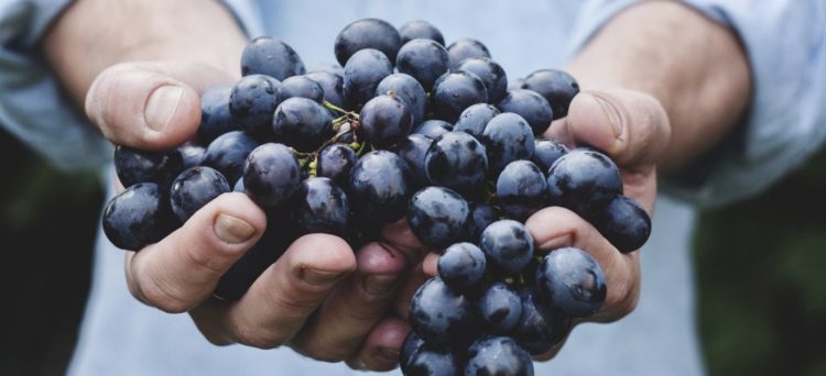 las doce uvas