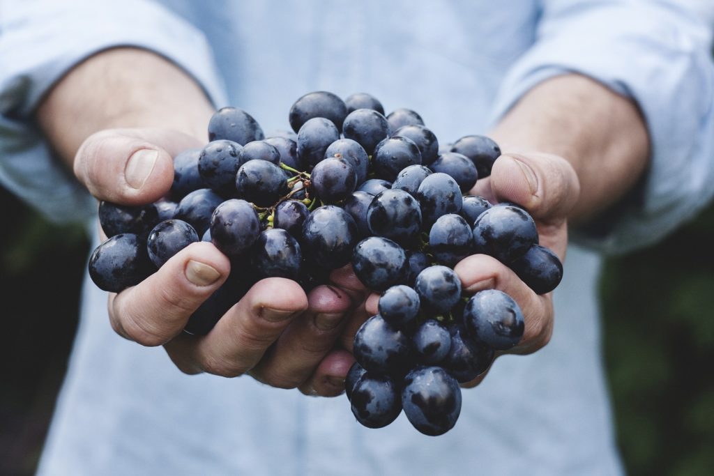 Las Doce Uvas y 4 tradiciones españolas del año nuevo