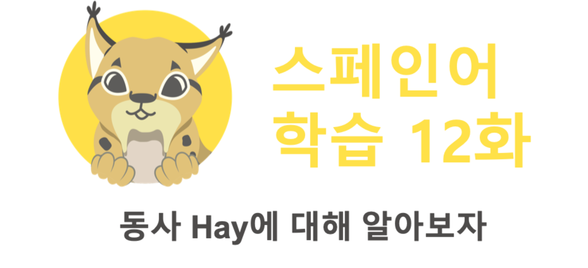 스페인어 학습 12화: 동사 Hay에 대해 알아보자 - 고고에스파냐