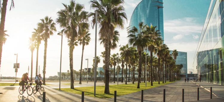 English program universities in Spain