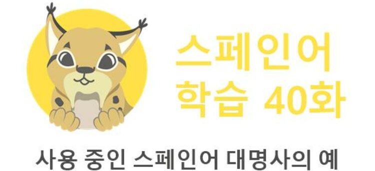 사용 중인 스페인어 대명사의 예