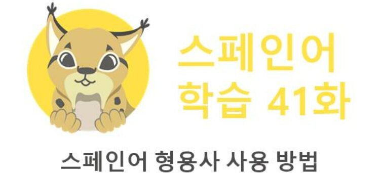 스페인어 형용사 사용 방법