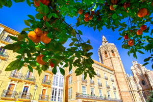 alojamiento en Valencia