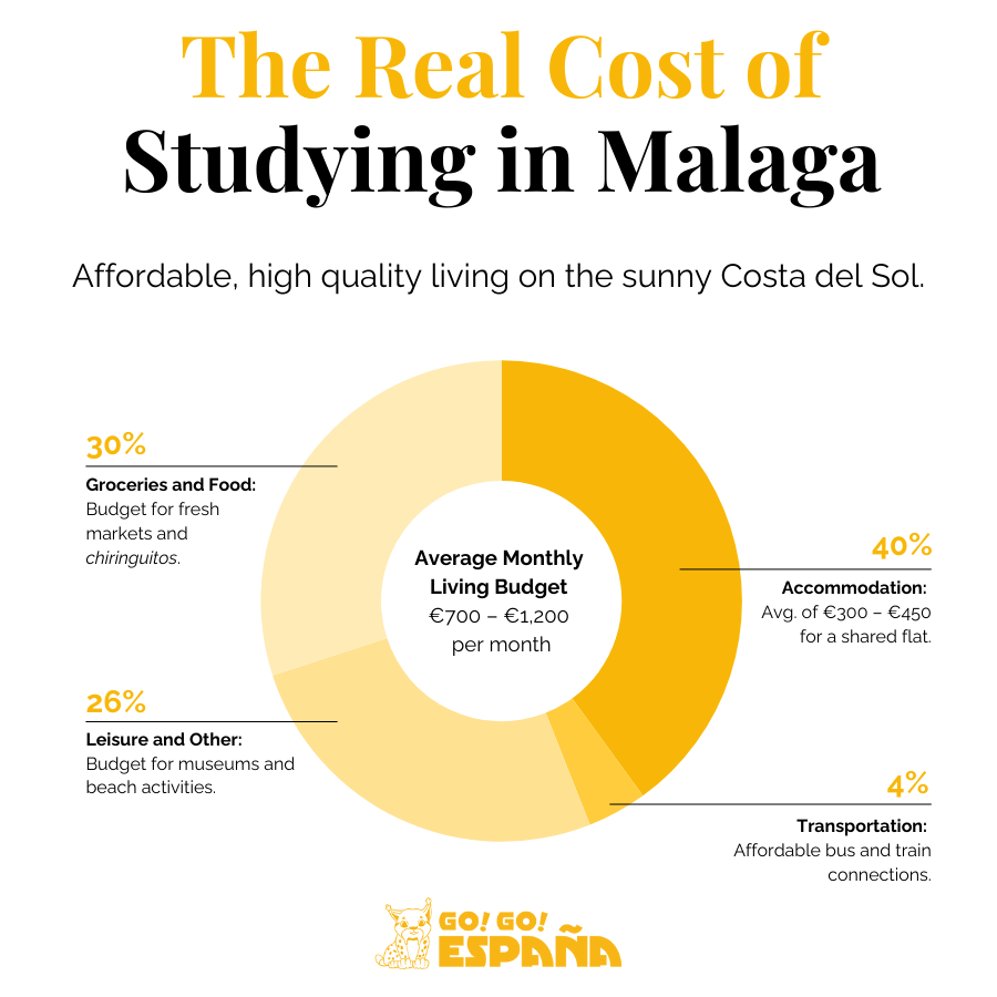 Monthly student budget breakdown for cost of living in Malaga.
