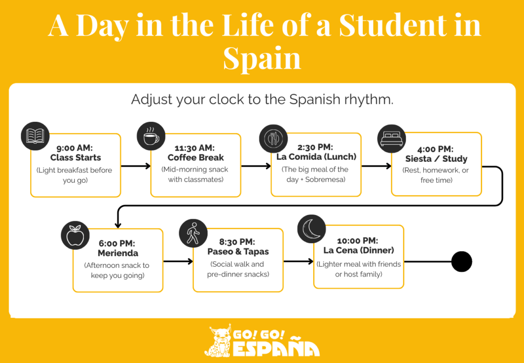 Infographic timeline of a typical daily schedule for a student in Spain.