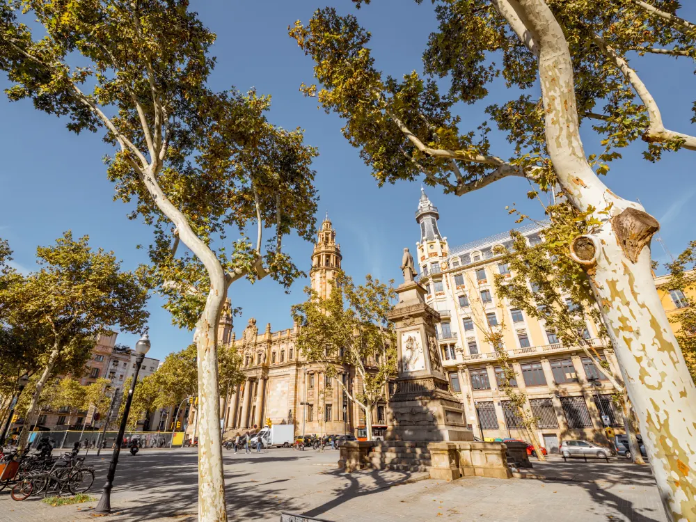 Private university cost of university in Spain offers English programs and low bureaucracy.