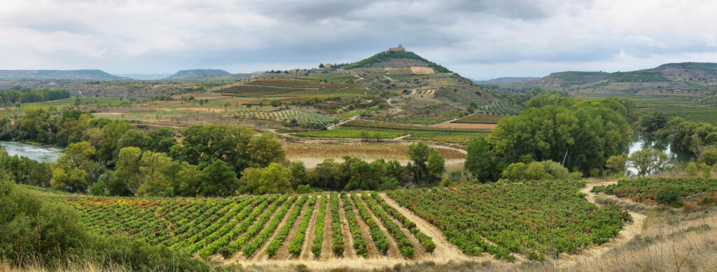 Photo of Autumn Vineyards and Davalillo castle, La Rioja (Spain).