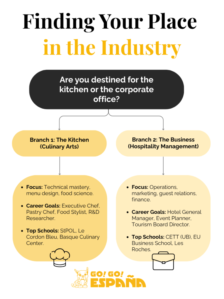 Infographic showing the difference between culinary arts and hospitality management career paths in Spain.