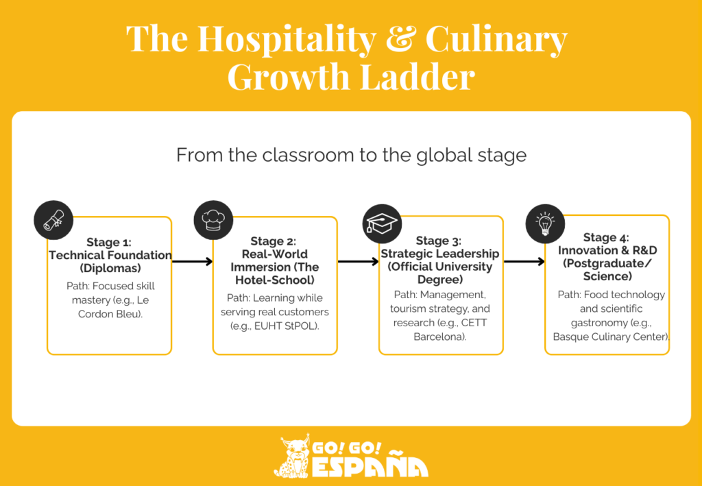 Career ladder infographic showing the progression from culinary student to industry professional.
