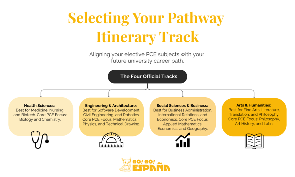 Subject radial map connecting the four official Spanish university pathway streams with recommended elective PCE subjects.