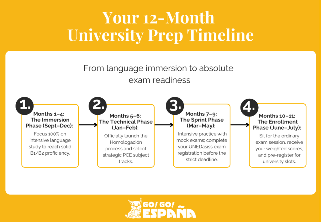 A step-by-step roadmap showing the 12-month timeline for international student university prep in Spain.